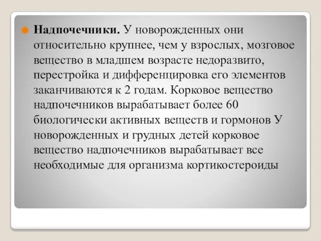 Надпочечники. У новорожденных они относительно крупнее, чем у взрослых, мозговое