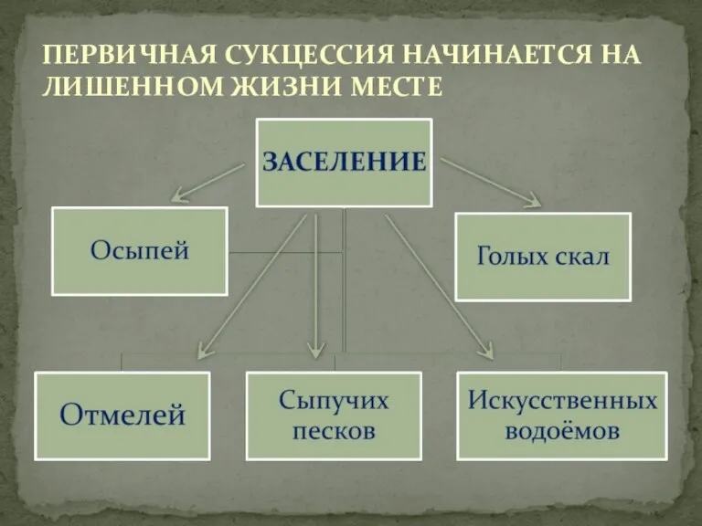 ПЕРВИЧНАЯ СУКЦЕССИЯ НАЧИНАЕТСЯ НА ЛИШЕННОМ ЖИЗНИ МЕСТЕ