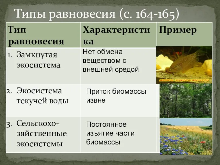 Типы равновесия (с. 164-165) Нет обмена веществом с внешней средой