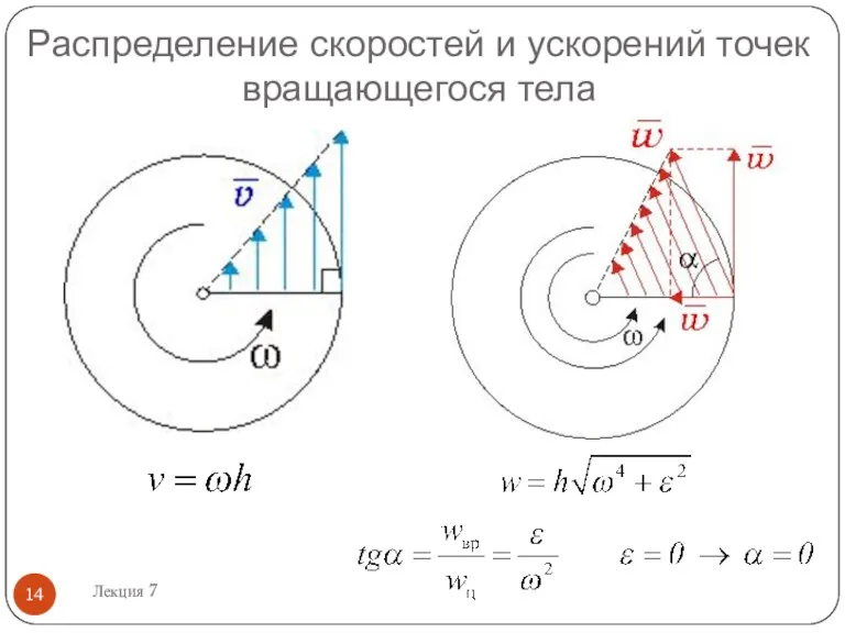 Распределение скоростей и ускорений точек вращающегося тела Лекция 7