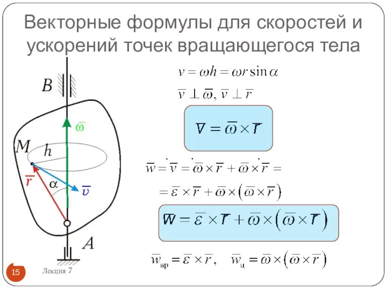 Векторные формулы для скоростей и ускорений точек вращающегося тела Лекция 7