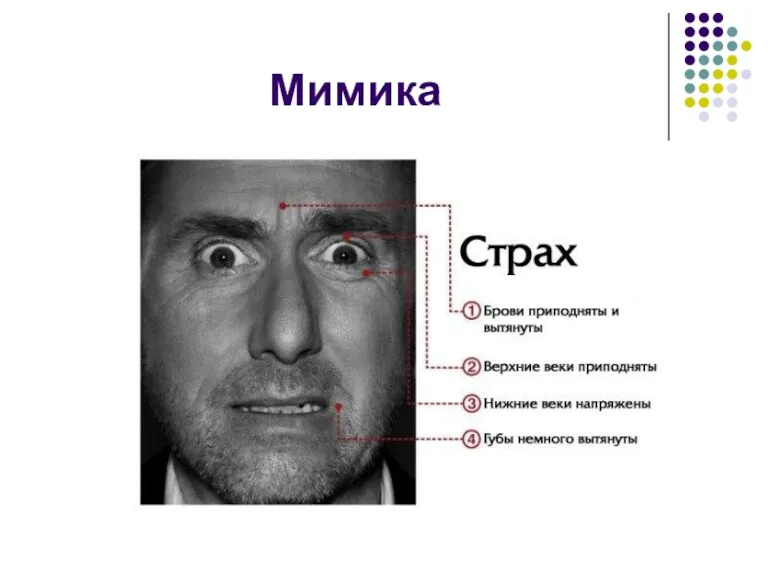 Мимика