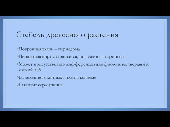 Стебель древесного растения Покровная ткань – перидерма Первичная кора сохраняется,