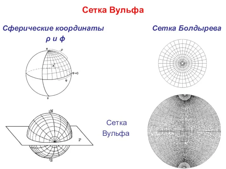 Сетка Вульфа Сферические координаты Сетка Болдырева ρ и ϕ Сетка Вульфа