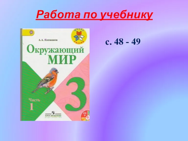 Работа по учебнику с. 48 - 49