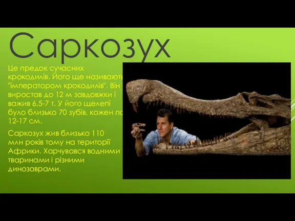 Саркозух Це предок сучасних крокодилів. Його ще називають "імператором крокодилів".