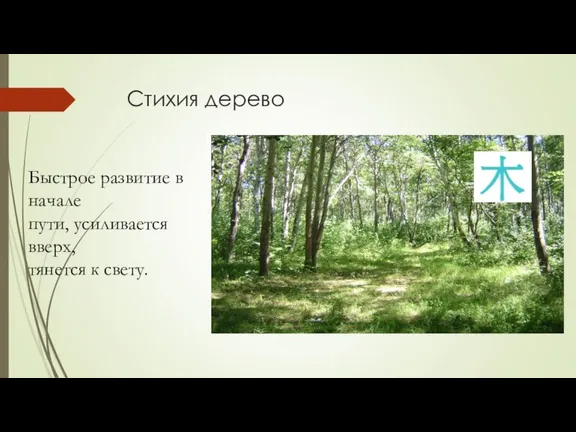 Стихия дерево Принцип пяти элементов Пять элементов: дерево Быстрое развитие