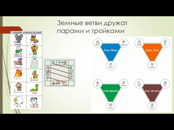 Земные ветви дружат парами и тройками