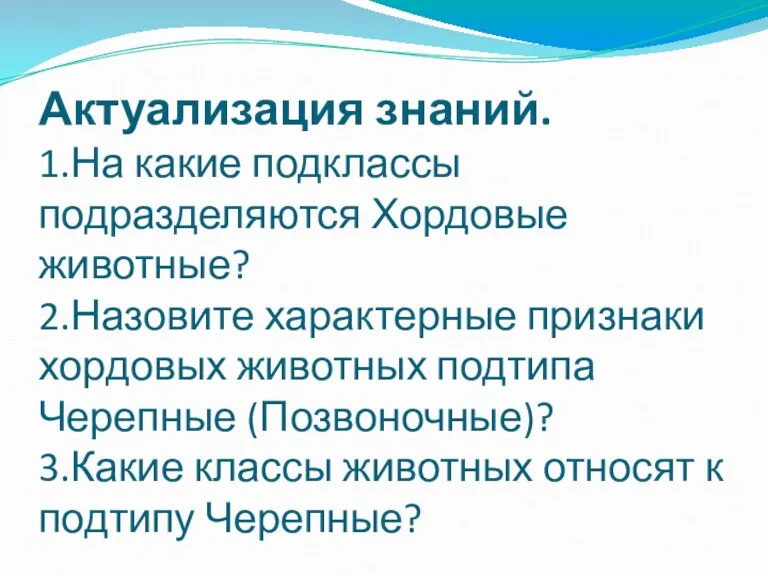 Актуализация знаний. 1.На какие подклассы подразделяются Хордовые животные? 2.Назовите характерные