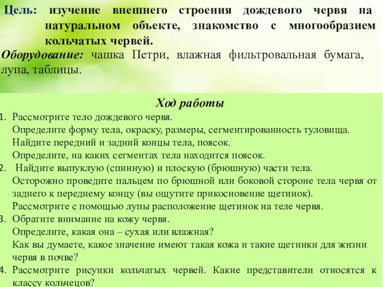 Цель: изучение внешнего строения дождевого червя на натуральном объекте, знакомство