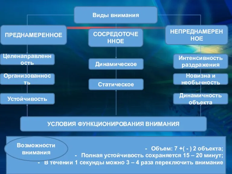 * Виды внимания ПРЕДНАМЕРЕННОЕ СОСРЕДОТОЧЕННОЕ Динамическое Статическое Динамичность объекта Новизна