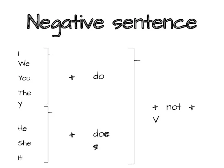 Negative sentence I We You They He She It +