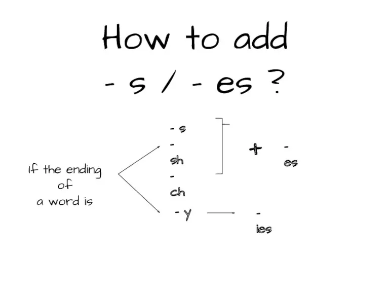 How to add - s / - es ? If