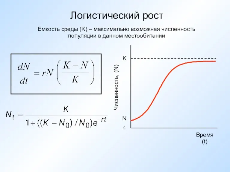 Логистический рост Емкость среды (K) – максимально возможная численность популяции