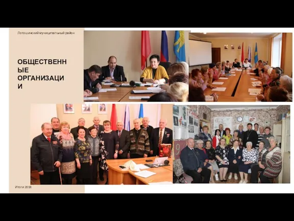 ОБЩЕСТВЕННЫЕ ОРГАНИЗАЦИИ Лотошинский муниципальный район Итоги 2018