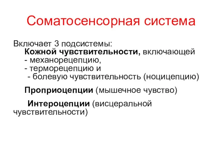 Соматосенсорная система Включает 3 подсистемы: Кожной чувствительности, включающей - механорецепцию,