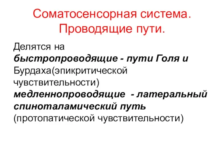 Соматосенсорная система. Проводящие пути. Делятся на быстропроводящие - пути Голя