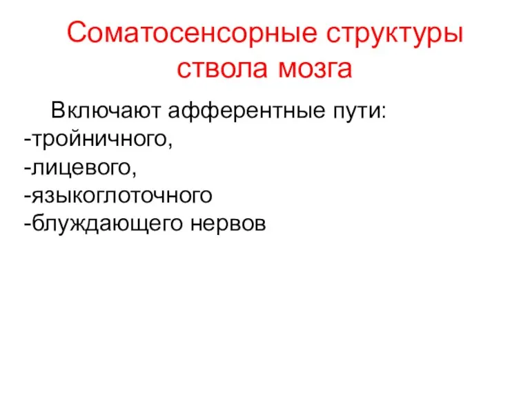 Соматосенсорные структуры ствола мозга Включают афферентные пути: тройничного, лицевого, языкоглоточного блуждающего нервов