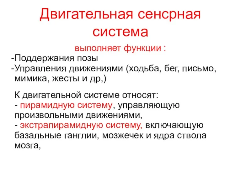 Двигательная сенсрная система выполняет функции : Поддержания позы Управления движениями