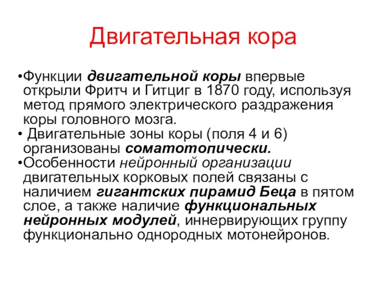 Двигательная кора Функции двигательной коры впервые открыли Фритч и Гитциг