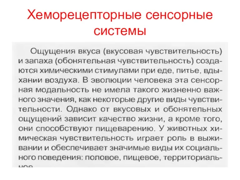 Хеморецепторные сенсорные системы