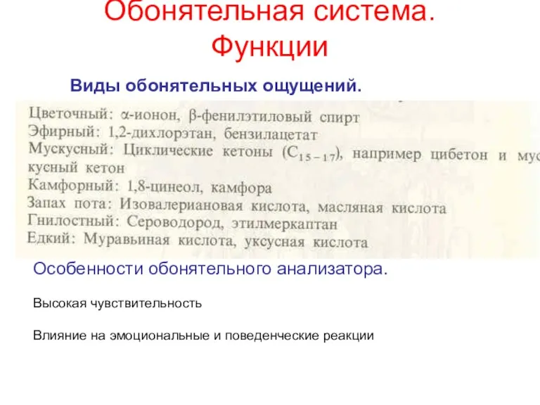 Обонятельная система. Функции Виды обонятельных ощущений. Особенности обонятельного анализатора. Высокая