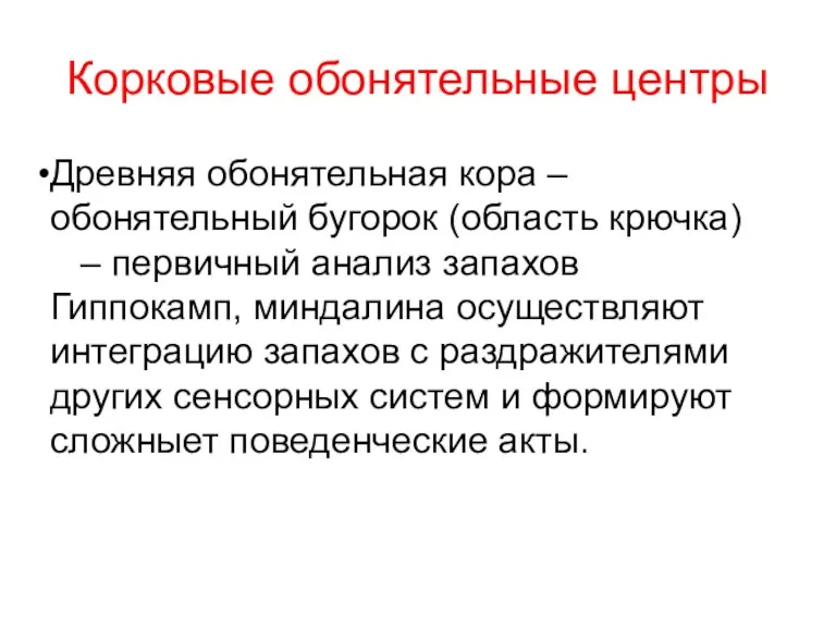 Корковые обонятельные центры Древняя обонятельная кора – обонятельный бугорок (область