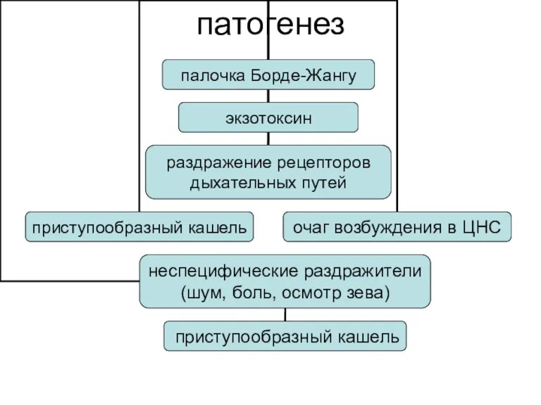 патогенез