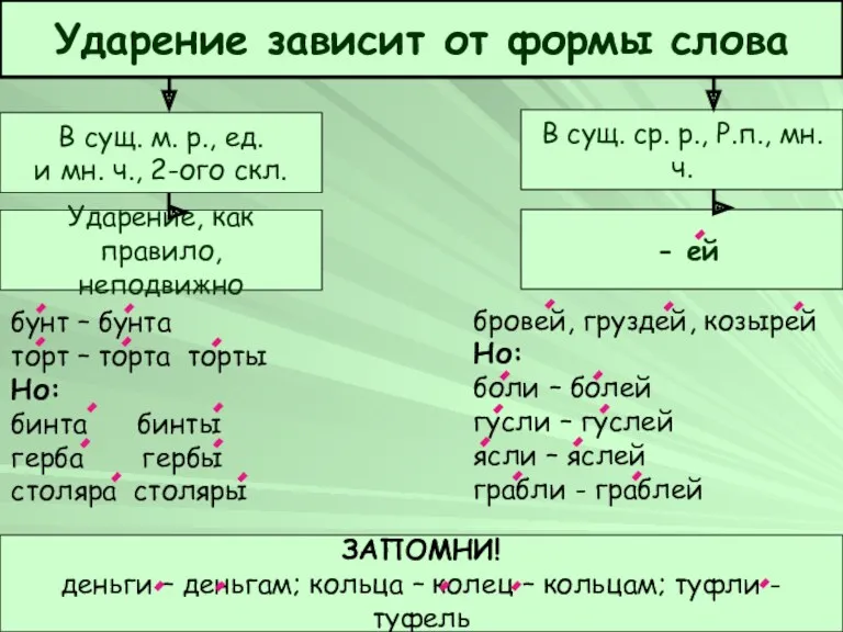 Марцофляк И.В. бунт – бунта торт – торта торты Но: