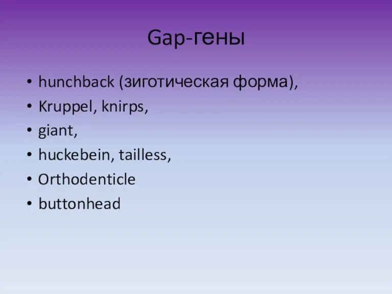 Gap-гены hunchback (зиготическая форма), Kruppel, knirps, giant, huckebein, tailless, Orthodenticle buttonhead