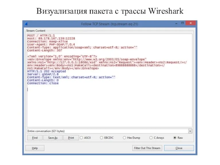 Визуализация пакета с трассы Wireshark