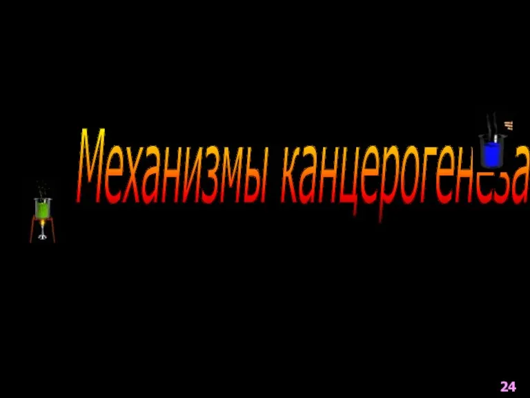 Механизмы канцерогенеза 24