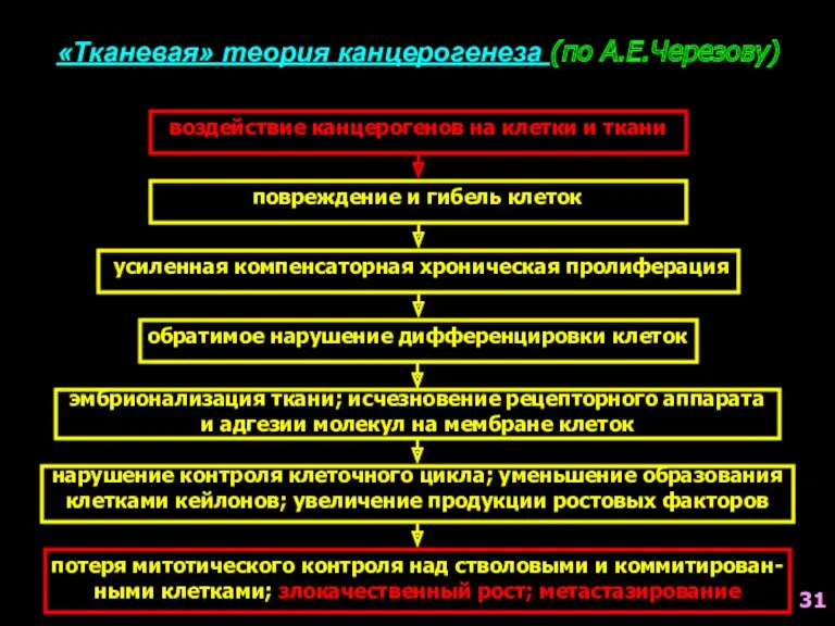 «Тканевая» теория канцерогенеза (по А.Е.Черезову) воздействие канцерогенов на клетки и