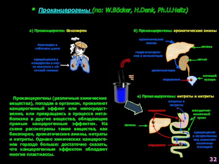 * Проканцерогены (по: W.Böcker, H.Denk, Ph.U.Heitz) Проканцерогены (различные химические вещества),