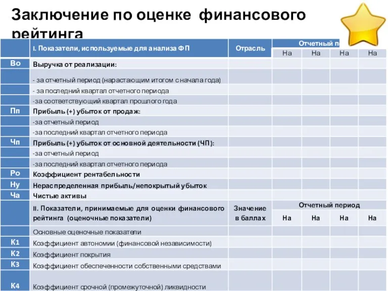 Заключение по оценке финансового рейтинга