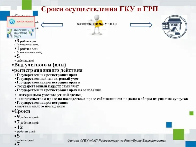 Сроки 7 рабочих дней 5 рабочих дней 10 рабочих дней