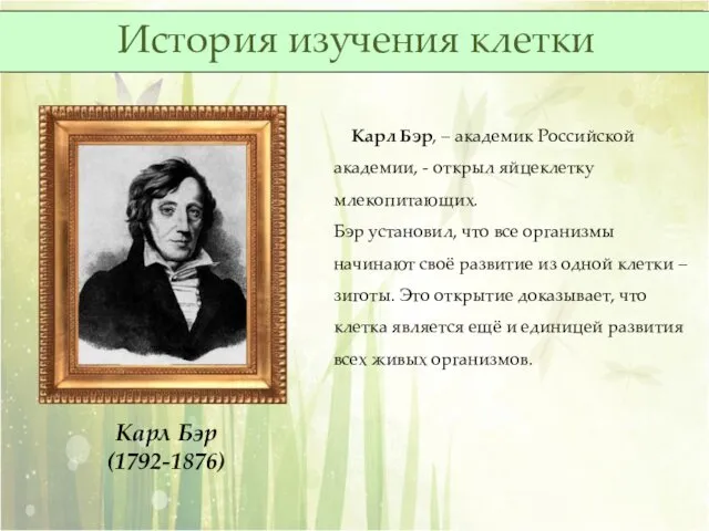 Карл Бэр, – академик Российской академии, - открыл яйцеклетку млекопитающих.