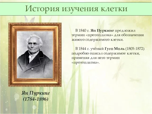Ян Пуркине (1784-1896) В 1840 г. Ян Пуркине предложил термин