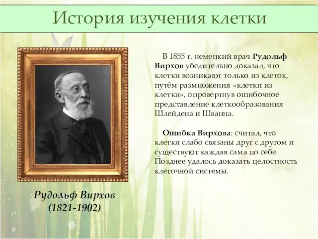 В 1855 г. немецкий врач Рудольф Вирхов убедительно доказал, что