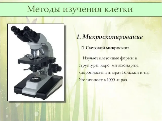 1. Микроскопирование Световой микроскоп Изучает клеточные формы и структуры: ядро,