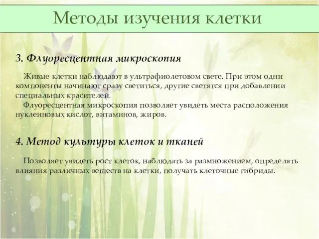 3. Флуоресцентная микроскопия Живые клетки наблюдают в ультрафиолетовом свете. При