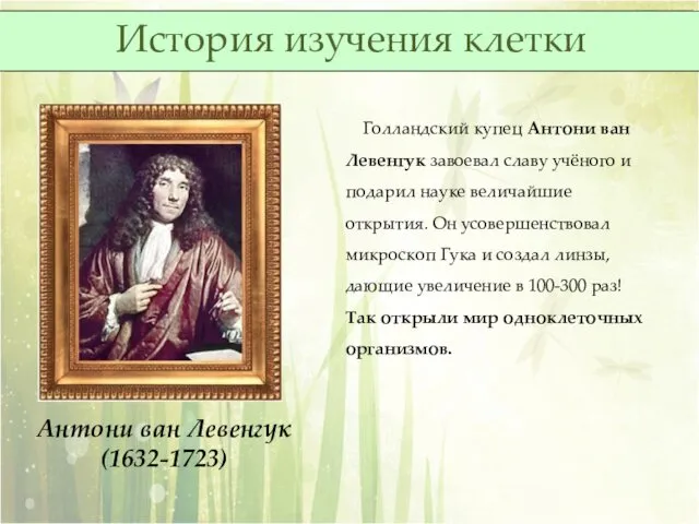 Голландский купец Антони ван Левенгук завоевал славу учёного и подарил