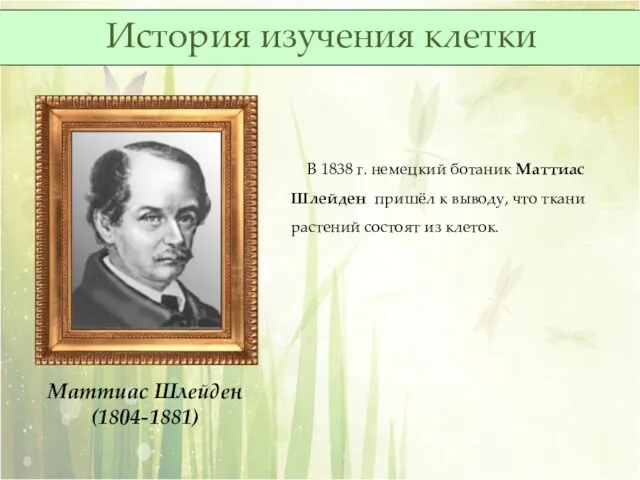 Маттиас Шлейден (1804-1881) В 1838 г. немецкий ботаник Маттиас Шлейден