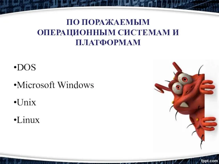 ПО ПОРАЖАЕМЫМ ОПЕРАЦИОННЫМ СИСТЕМАМ И ПЛАТФОРМАМ DOS Microsoft Windows Unix Linux