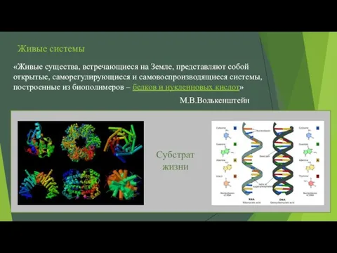 Субстрат жизни «Живые существа, встречающиеся на Земле, представляют собой открытые,