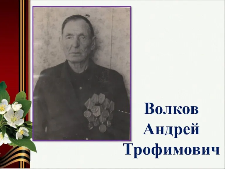 Волков Андрей Трофимович