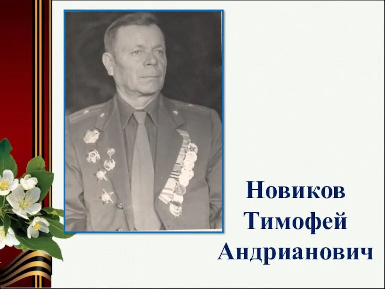 Новиков Тимофей Андрианович