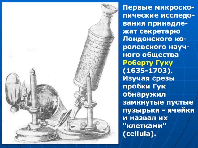 Первые микроско-пические исследо-вания принадле-жат секретарю Лондонского ко-ролевского науч-ного общества Роберту