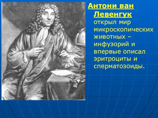 Антони ван Левенгук открыл мир микроскопических животных – инфузорий и впервые описал эритроциты и сперматозоиды.