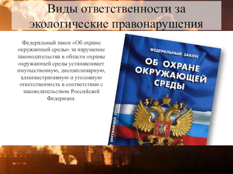 Виды ответственности за экологические правонарушения Федеральный закон «Об охране окружающей